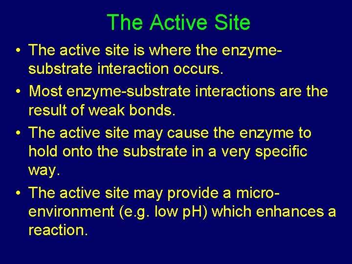The Active Site • The active site is where the enzymesubstrate interaction occurs. •
