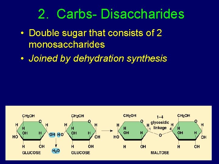 2. Carbs- Disaccharides • Double sugar that consists of 2 monosaccharides • Joined by