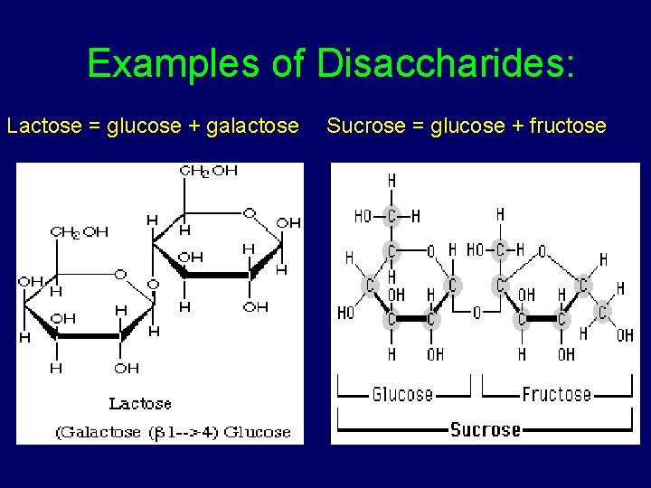 Examples of Disaccharides: Lactose = glucose + galactose Sucrose = glucose + fructose 