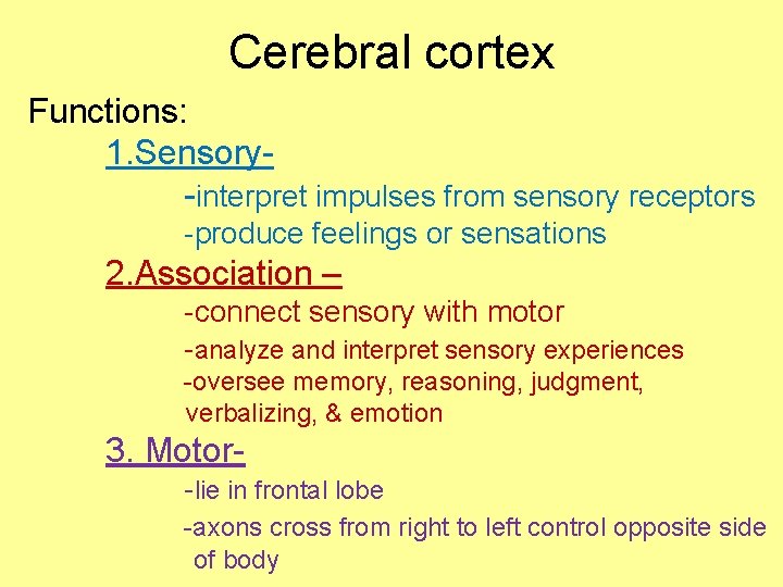 Cerebral cortex Functions: 1. Sensory-interpret impulses from sensory receptors -produce feelings or sensations 2.