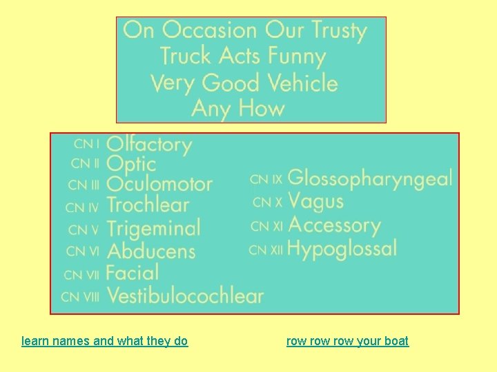 learn names and what they do row row your boat 