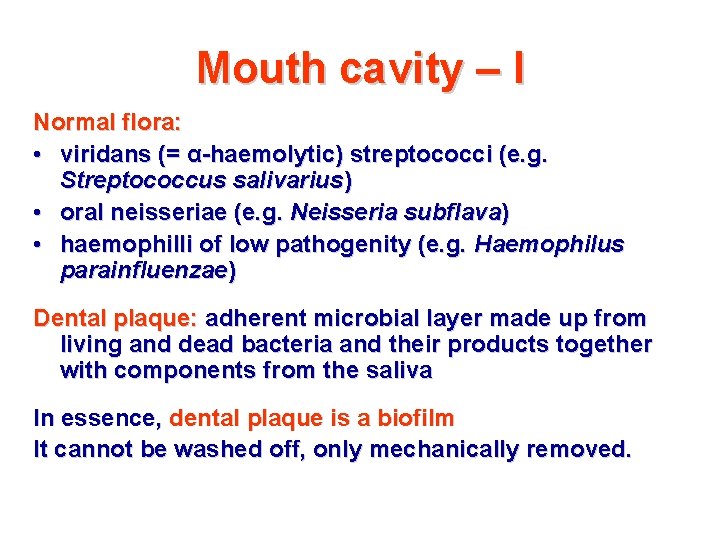 Mouth cavity – I Normal flora: • viridans (= α-haemolytic) streptococci (e. g. Streptococcus