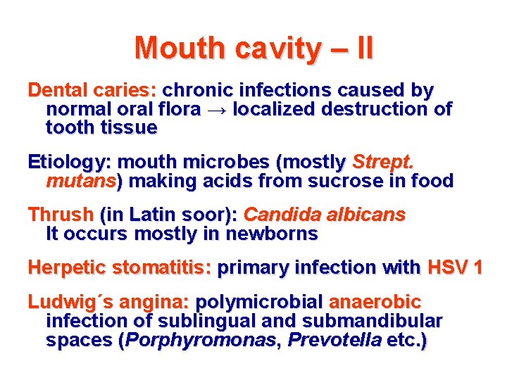 Mouth cavity – II Dental caries: chronic infections caused by normal oral flora →