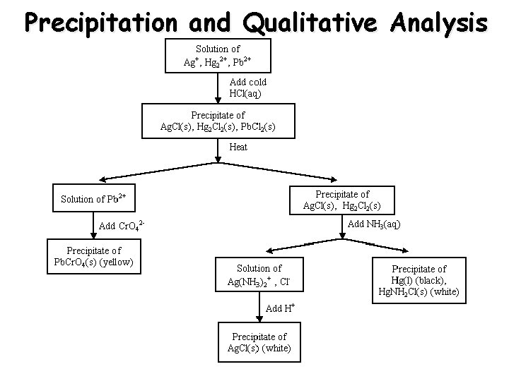 Precipitation and Qualitative Analysis 