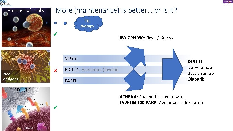 Presence of T cells More (maintenance) is better… or is it? TIL therapy ✓