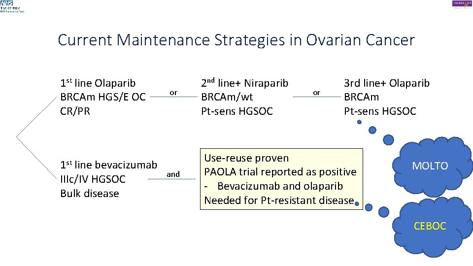 Current Maintenance Strategies in Ovarian Cancer 1 st line Olaparib BRCAm HGS/E OC CR/PR