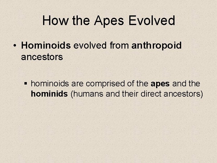 How the Apes Evolved • Hominoids evolved from anthropoid ancestors § hominoids are comprised