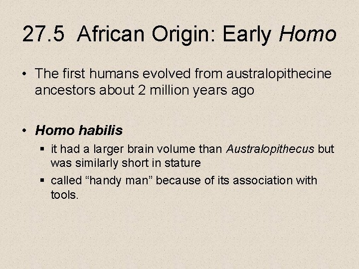 27. 5 African Origin: Early Homo • The first humans evolved from australopithecine ancestors