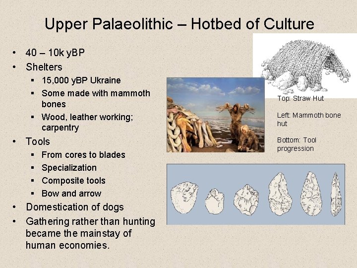 Upper Palaeolithic – Hotbed of Culture • 40 – 10 k y. BP •