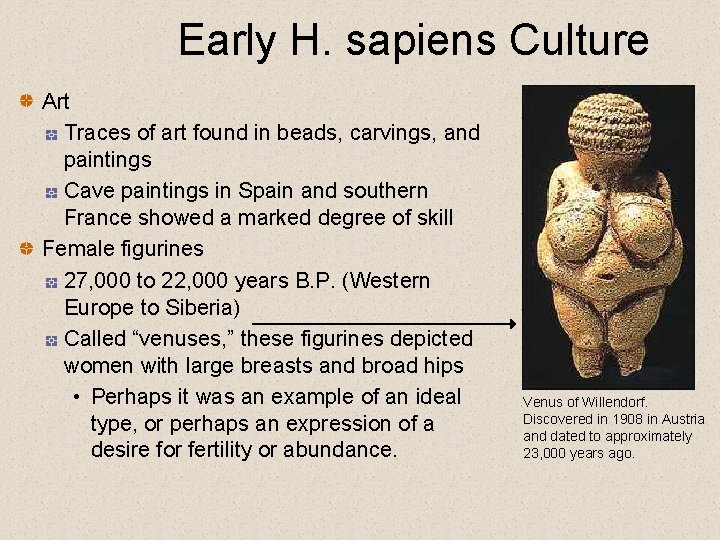 Early H. sapiens Culture Art Traces of art found in beads, carvings, and paintings