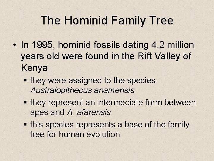 The Hominid Family Tree • In 1995, hominid fossils dating 4. 2 million years