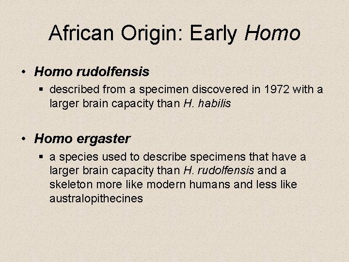 African Origin: Early Homo • Homo rudolfensis § described from a specimen discovered in