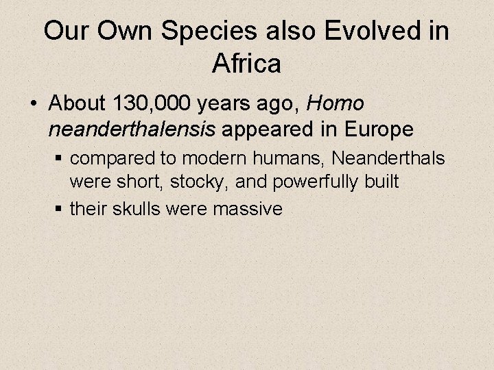 Our Own Species also Evolved in Africa • About 130, 000 years ago, Homo