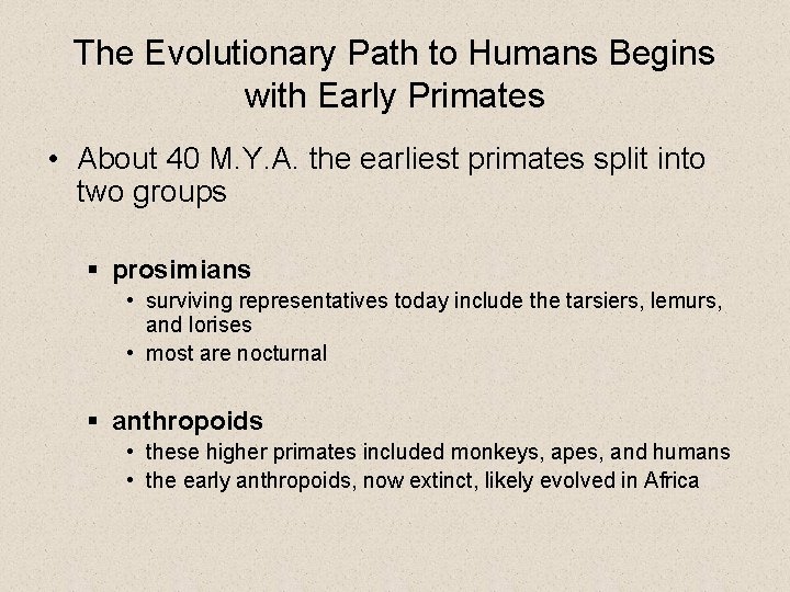 The Evolutionary Path to Humans Begins with Early Primates • About 40 M. Y.