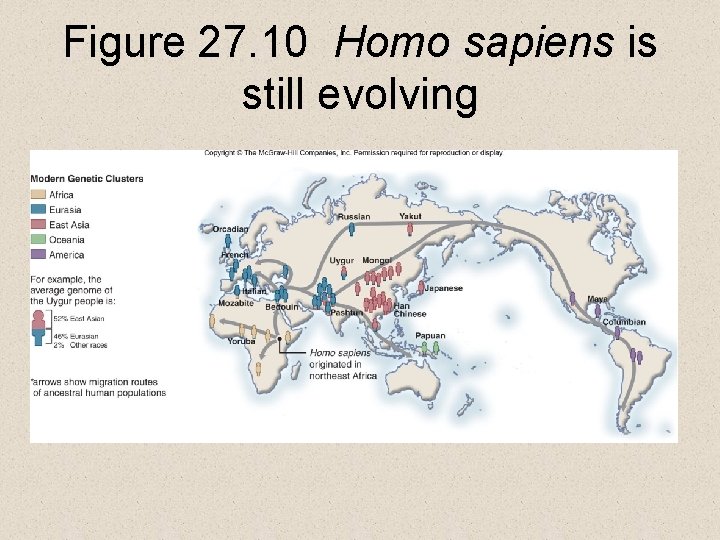 Figure 27. 10 Homo sapiens is still evolving 