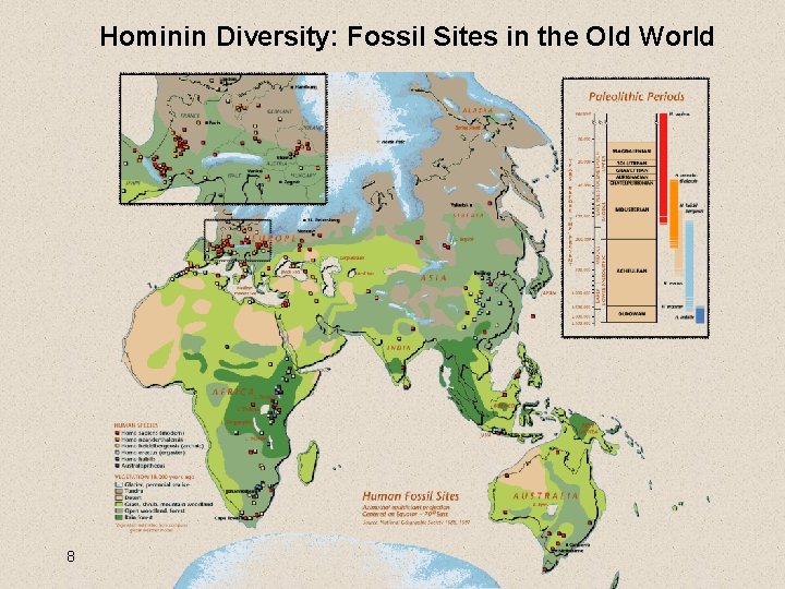 Hominin Diversity: Fossil Sites in the Old World 8 