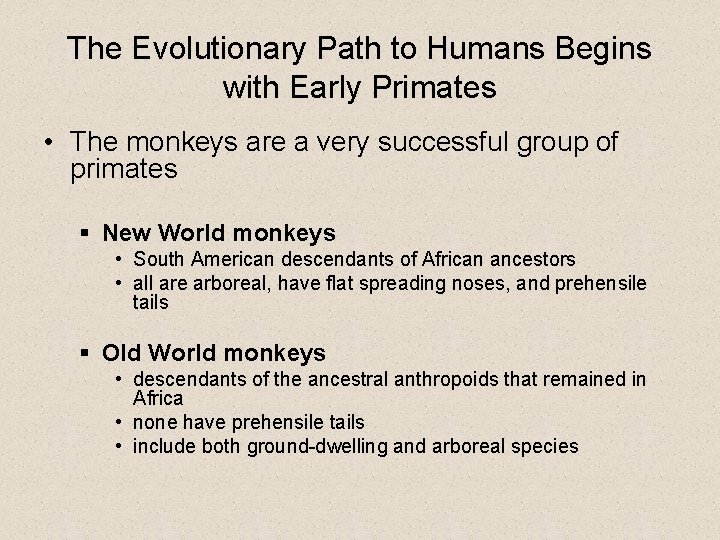 The Evolutionary Path to Humans Begins with Early Primates • The monkeys are a