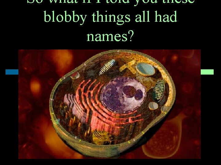 So what if I told you these blobby things all had names? 