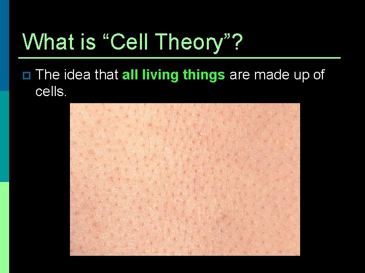 What is “Cell Theory”? p The idea that all living things are made up