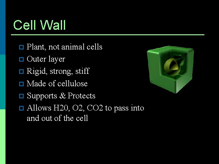 Cell Wall Plant, not animal cells p Outer layer p Rigid, strong, stiff p