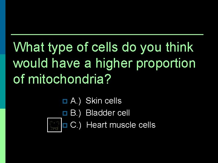 What type of cells do you think would have a higher proportion of mitochondria?