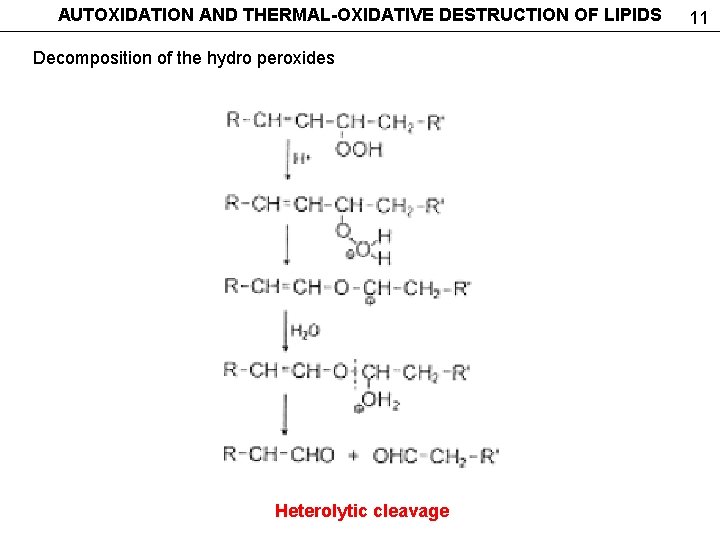 AUTOXIDATION AND THERMAL-OXIDATIVE DESTRUCTION OF LIPIDS Decomposition of the hydro peroxides Heterolytic cleavage 11