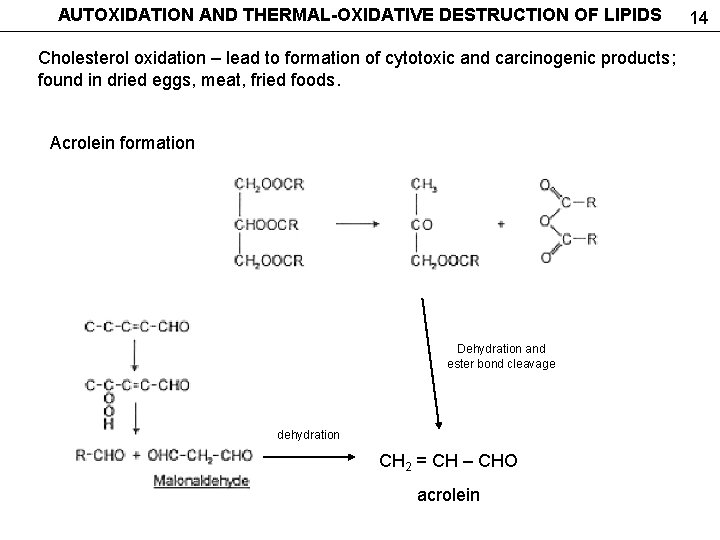 AUTOXIDATION AND THERMAL-OXIDATIVE DESTRUCTION OF LIPIDS Cholesterol oxidation – lead to formation of cytotoxic