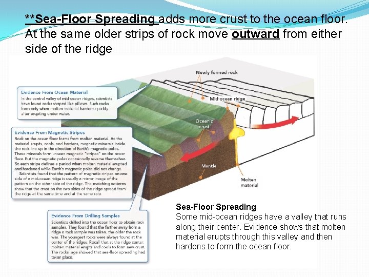 **Sea-Floor Spreading adds more crust to the ocean floor. At the same older strips