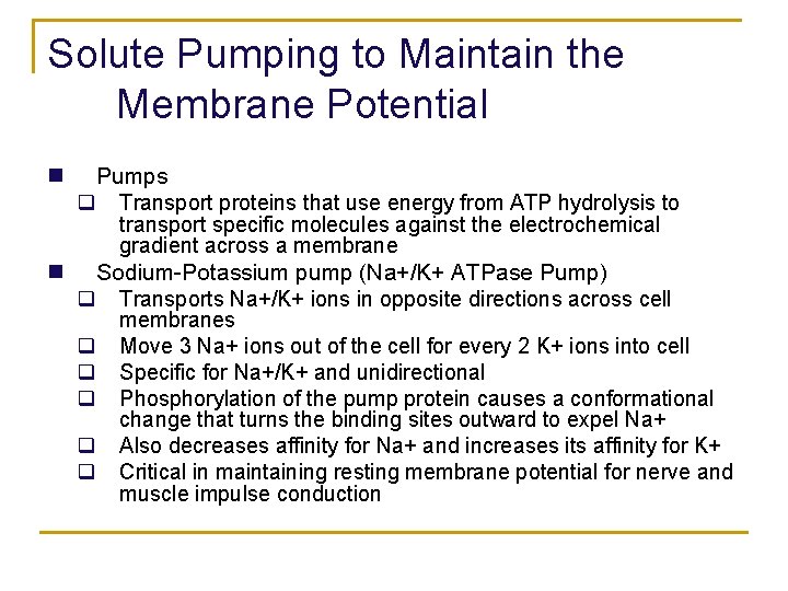 Solute Pumping to Maintain the Membrane Potential n Pumps q Transport proteins that use