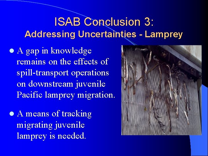 ISAB Conclusion 3: Addressing Uncertainties - Lamprey l. A gap in knowledge remains on