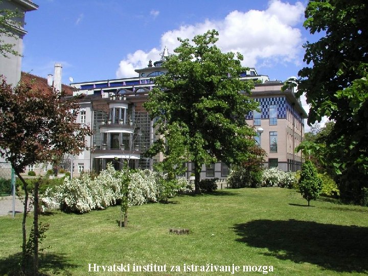 Hrvatski institut za istraživanje mozga 