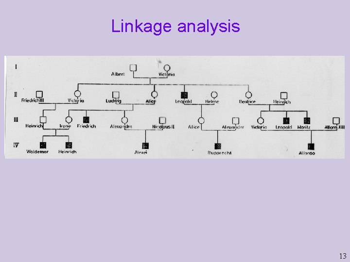 Linkage analysis 13  Linkage analysis 13
