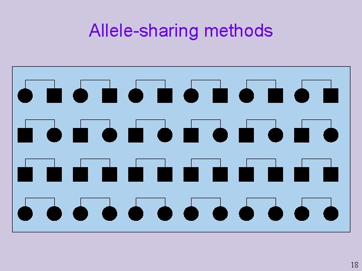 Allele-sharing methods 18  Allele-sharing methods 18