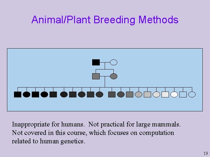 Animal/Plant Breeding Methods Inappropriate for humans. Not practical for large mammals. Not covered in Animal/Plant Breeding Methods Inappropriate for humans. Not practical for large mammals. Not covered in