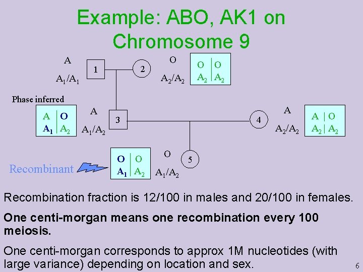Example: ABO, AK 1 on Chromosome 9 A A 1/A 1 2 1 O Example: ABO, AK 1 on Chromosome 9 A A 1/A 1 2 1 O