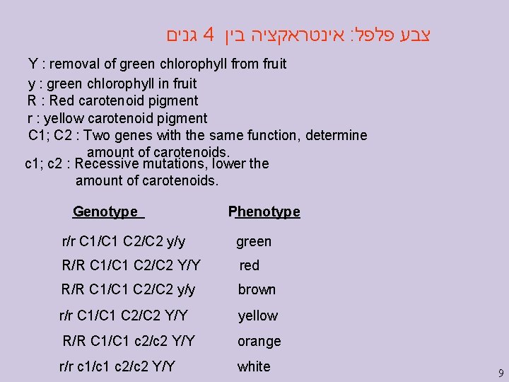 גנים 4 אינטראקציה בין : צבע פלפל Y : removal of green chlorophyll  גנים 4 אינטראקציה בין : צבע פלפל Y : removal of green chlorophyll