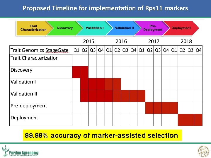Proposed Timeline for implementation of Rps 11 markers 99. 99% accuracy of marker-assisted selection