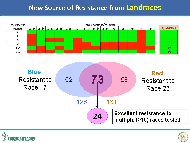 New Source of Resistance from Landraces Blue: Resistant to Race 17 73 52 126