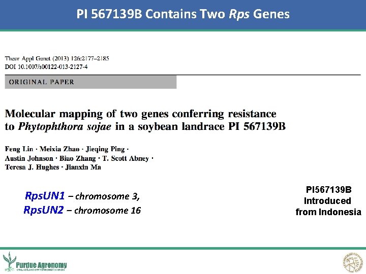 PI 567139 B Contains Two Rps Genes Rps. UN 1 – chromosome 3, Rps.