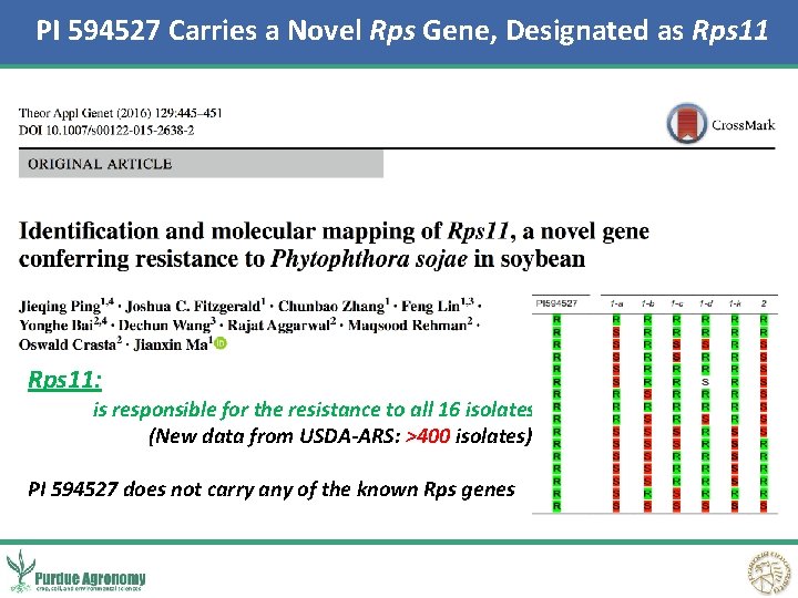 PI 594527 Carries a Novel Rps Gene, Designated as Rps 11: is responsible for