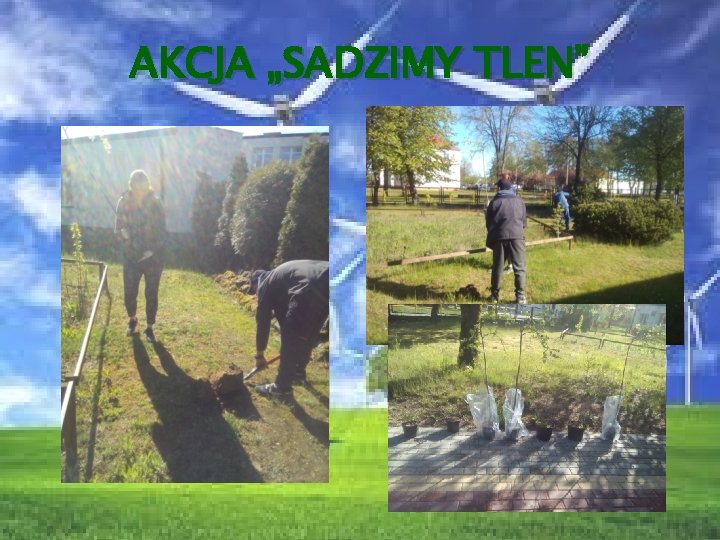 AKCJA „SADZIMY TLEN” 