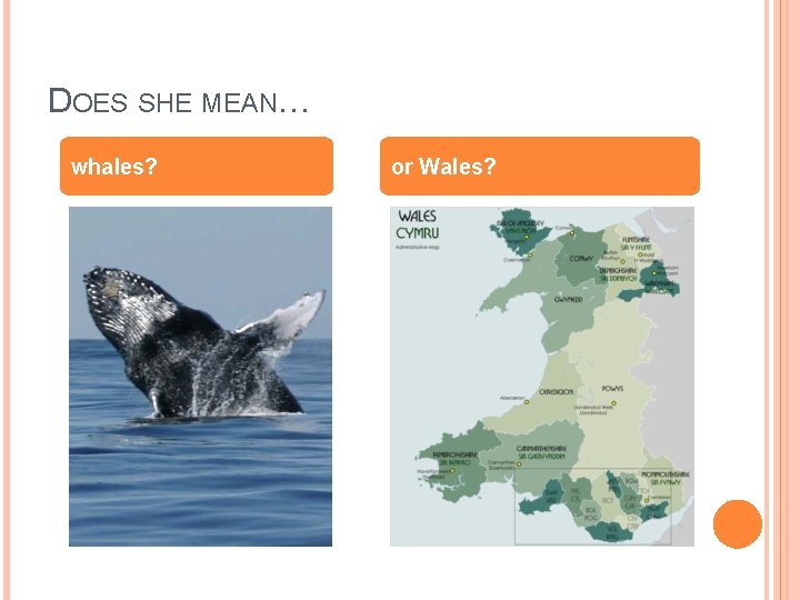 DOES SHE MEAN… whales? or Wales? 