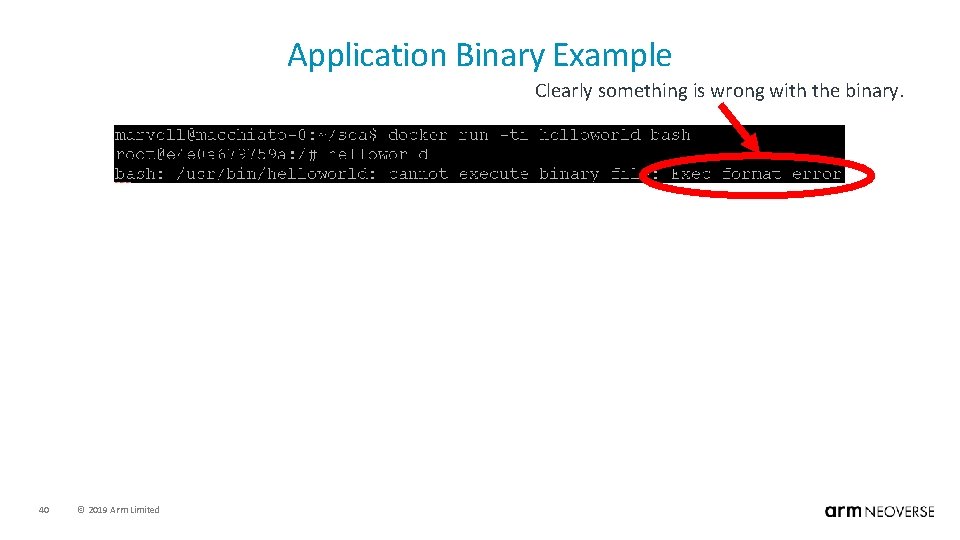Application Binary Example Clearly something is wrong with the binary. 40 © 2019 Arm
