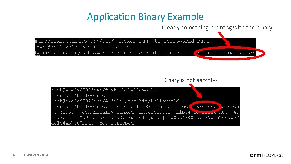 Application Binary Example Clearly something is wrong with the binary. Binary is not aarch
