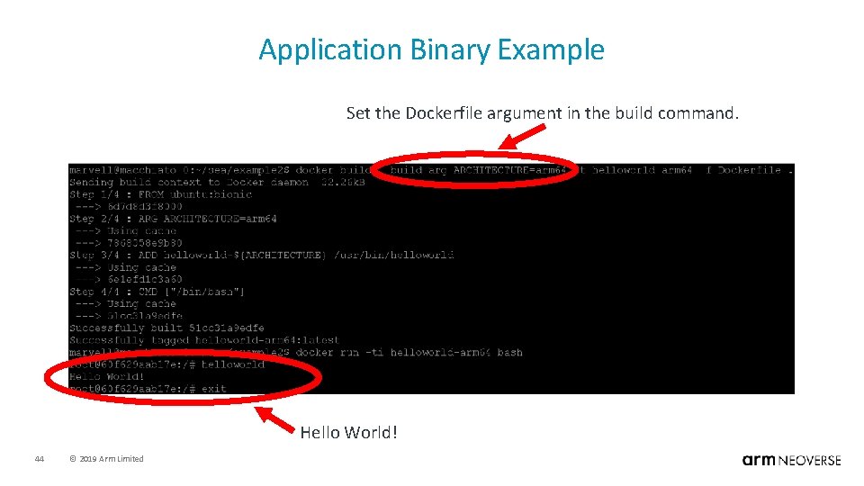 Application Binary Example Set the Dockerfile argument in the build command. Hello World! 44