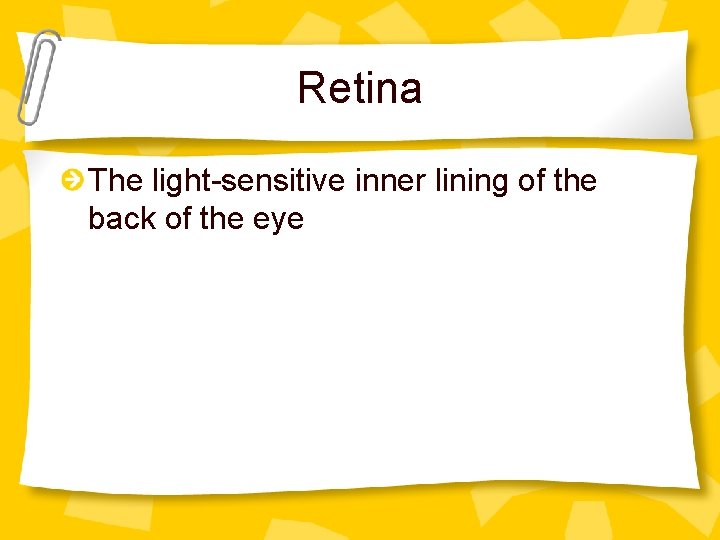 Retina The light-sensitive inner lining of the back of the eye 
