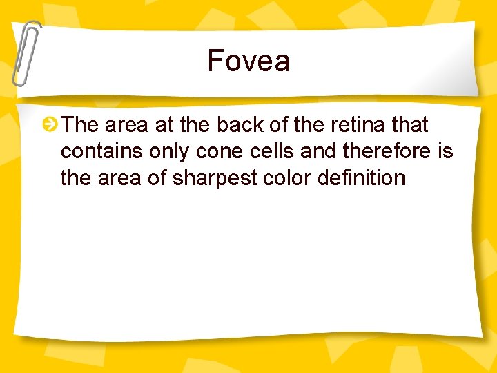 Fovea The area at the back of the retina that contains only cone cells