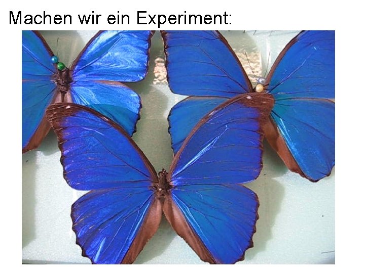 Machen wir ein Experiment: 