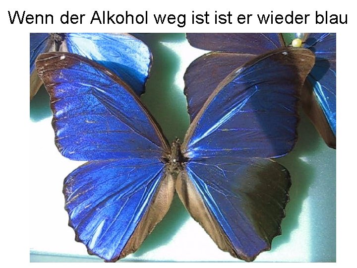 Wenn der Alkohol weg ist er wieder blau 