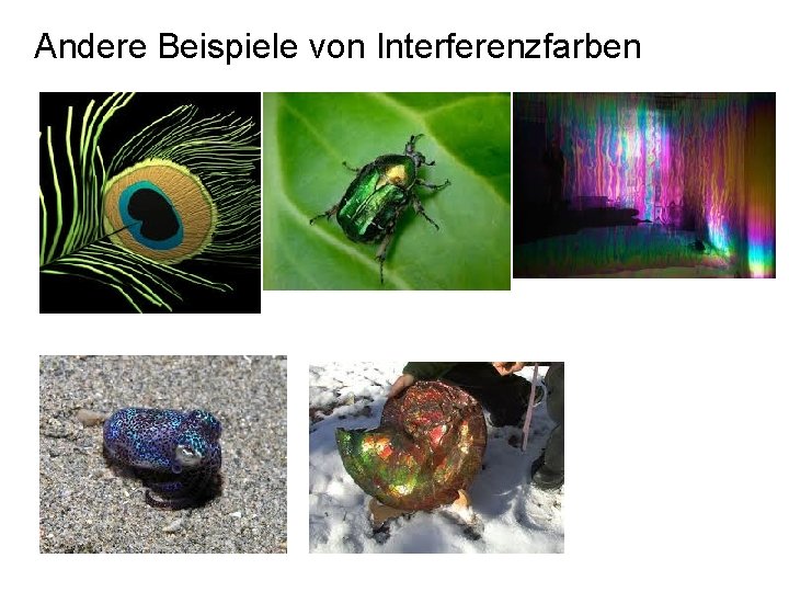 Andere Beispiele von Interferenzfarben 